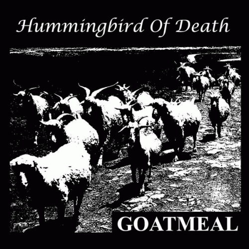 Hummingbird Of Death : Goatmeal
